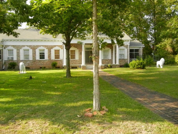 Magnificent Pair of Antique Life- Size Lion Statues in Cast Iron, , Statues, Deep South Antiques