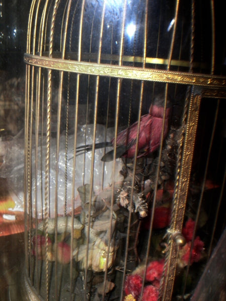 Ormolu Bird Cage Automation - Taxidermy Singing Bird