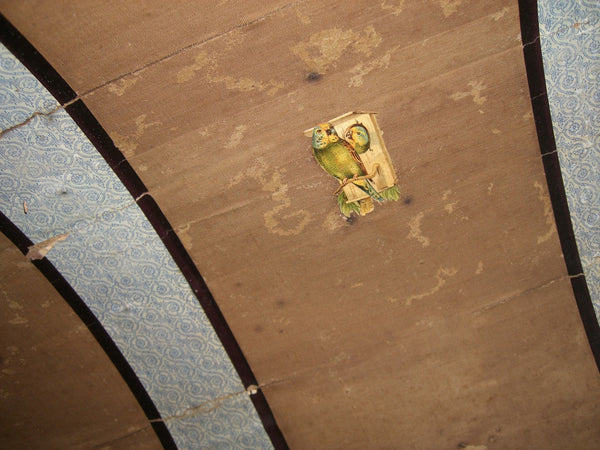 Antique Steamer Arch Camel Trunk, , Trunks, Deep South Antiques Deep South Antiques