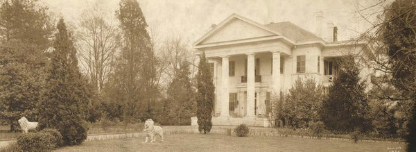 Magnificent Pair of Antique Life- Size Lion Statues in Cast Iron, , Statues, Deep South Antiques
