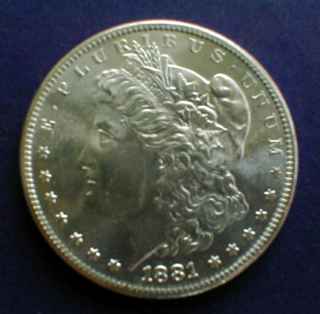 Silver Morgan Dollars Coin Collection